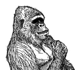 Gorilla gorilla gorilla 2 sticker #5441298