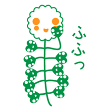 Capsella bursa-pastoris sticker #5441354