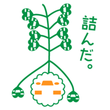 Capsella bursa-pastoris sticker #5441359