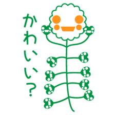 Capsella bursa-pastoris sticker #5441365