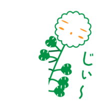 Capsella bursa-pastoris sticker #5441370