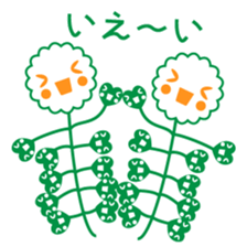 Capsella bursa-pastoris sticker #5441373