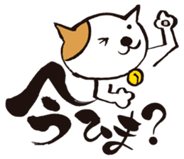 KoujiTakano<Words of Cat> sticker #5446029