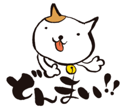 KoujiTakano<Words of Cat> sticker #5446043