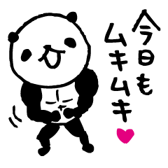 panda- Muscle MUKIMUKI -