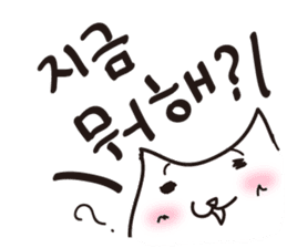 The cat which likes South Korea sticker #5446814