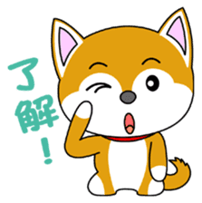 Shiba Puppy sticker #5451028