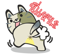 CATTY CATTY CAT CAT sticker #5451223