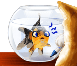 Platong The Goldfish sticker #5452380