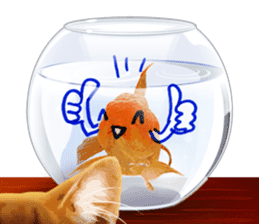 Platong The Goldfish sticker #5452383