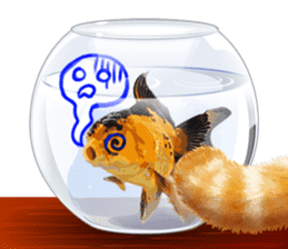 Platong The Goldfish sticker #5452404
