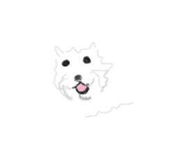 Very recommended Sticker. sticker #5453638