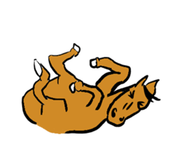 Horse every day sticker #5454957