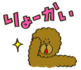 A toy poodle has round hair3 sticker #5457061