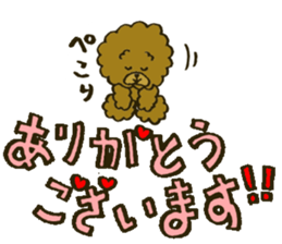 A toy poodle has round hair3 sticker #5457064
