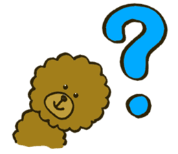 A toy poodle has round hair3 sticker #5457067