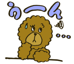 A toy poodle has round hair3 sticker #5457070
