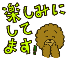 A toy poodle has round hair3 sticker #5457072