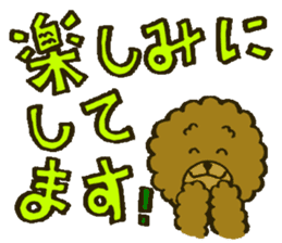 A toy poodle has round hair3 sticker #5457072