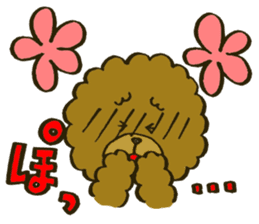 A toy poodle has round hair3 sticker #5457079