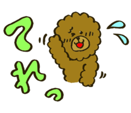 A toy poodle has round hair3 sticker #5457080