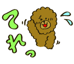 A toy poodle has round hair3 sticker #5457080