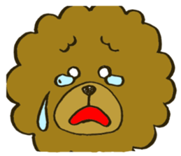 A toy poodle has round hair3 sticker #5457084