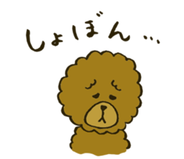 A toy poodle has round hair3 sticker #5457085