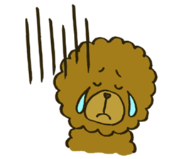 A toy poodle has round hair3 sticker #5457086