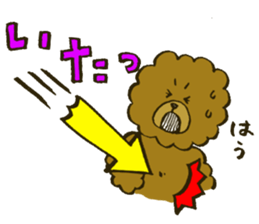 A toy poodle has round hair3 sticker #5457088