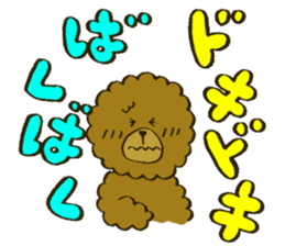 A toy poodle has round hair3 sticker #5457089