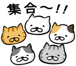 Cat always says one word too many w mate sticker #5458358