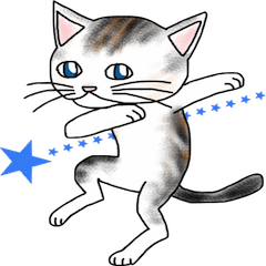 Scottish Fold of kitten Fran