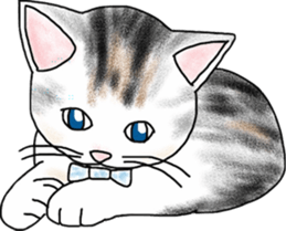 Scottish Fold of kitten Fran sticker #5458824