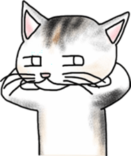 Scottish Fold of kitten Fran sticker #5458827
