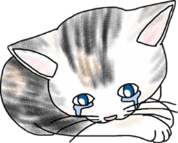 Scottish Fold of kitten Fran sticker #5458829