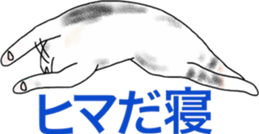 Scottish Fold of kitten Fran sticker #5458832