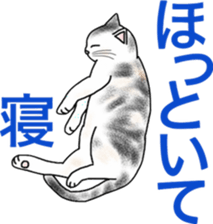 Scottish Fold of kitten Fran sticker #5458835