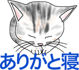 Scottish Fold of kitten Fran sticker #5458836