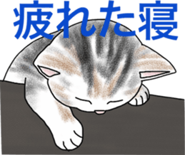 Scottish Fold of kitten Fran sticker #5458837