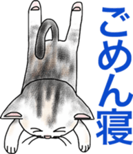 Scottish Fold of kitten Fran sticker #5458838