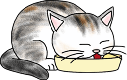Scottish Fold of kitten Fran sticker #5458841