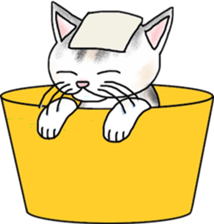 Scottish Fold of kitten Fran sticker #5458851