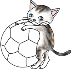 Scottish Fold of kitten Fran sticker #5458855