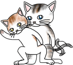 Scottish Fold of kitten Fran sticker #5458859