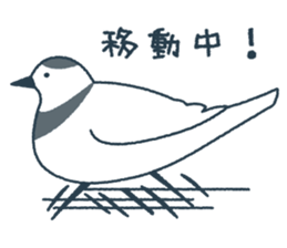 Loose bird's sticker sticker #5459469
