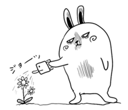 But is rabbit sticker #5463994