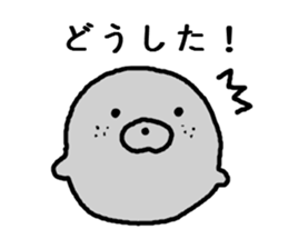 White seal2 sticker #5468697