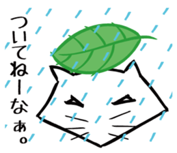 Bluntness cat sticker #5471537