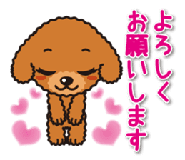 Cute Toy poodle day to day sticker #5472588